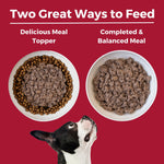 Beef Dog Food: Limited Ingredient Diet Beef Entrée for Dogs