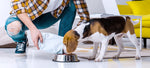 Mixing/Topping: 3 Great Benefits to Mixing Wet and Dry Dog Food