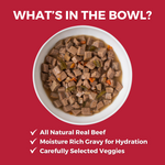 Lone Star Brisket Slow Cooked Stew Beef Recipe for Dogs