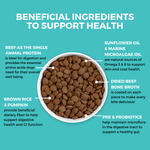 Limited Ingredient Dry Bland Diet Beef & Brown Rice Recipe with Pumpkin for Dogs