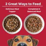 Lone Star Brisket Slow Cooked Stew Beef Recipe for Dogs