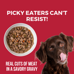 Lone Star Brisket Slow Cooked Stew Beef Recipe for Dogs