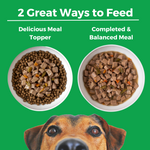 Pike Place Platter Slow Cooked Stew Beef & Salmon Recipe for Dogs