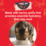 Poké Bowl Tuna & Beef Entrée in Gravy for Cats