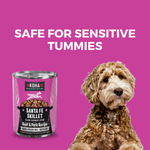 Santa Fe Skillet Slow Cooked Stew Beef & Pork Recipe for Dogs