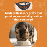 Poké Bowl Tuna & Pumpkin Entrée in Gravy for Cats