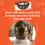 Poké Bowl Tuna & Chicken Entrée in Gravy for Cats