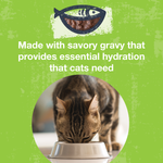 Poké Bowl Tuna & Duck Entrée in Gravy for Cats