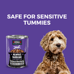 Memphis Barbeque Slow Cooked Stew Chicken & Pork Recipe for Dogs