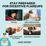 Bland Diet for Dogs: Limited Ingredient Wet Bland Diet Chicken & White Rice Recipe for Dogs