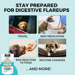 Limited Ingredient Wet Bland Diet Lamb & White Rice Recipe for Dogs