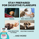 Limited Ingredient Wet Bland Diet Beef & White Rice Recipe for Dogs