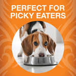 Freeze-Dried Raw Bites Chicken Entrée for Dogs