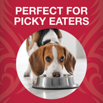 Freeze-Dried Raw Bites Beef Entrée for Dogs