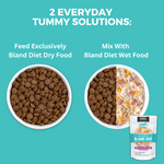 Limited Ingredient Dry Bland Diet Beef & Brown Rice Recipe with Pumpkin for Dogs