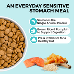 Limited Ingredient Dry Bland Diet Salmon & Brown Rice Recipe with Pumpkin for Dogs