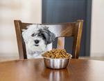 Is Your Dog a Picky Eater? Top Tips to Help [2025]